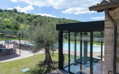 Villa Trasimena: Svømmepøl, Skygge, Eco Hotel, Udvej, Landscaping, Estate, Udendørs Møbler, Have, Udendørs Struktur, Backyard