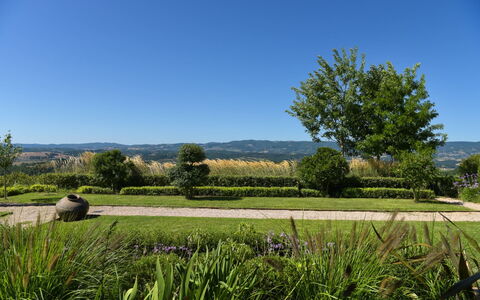 Podere Vigna Nuova: Himmel, Grøn, Natur, Træ, Græs, Naturligt Miljø, Blad, Naturlige Landskab, Vegetationen