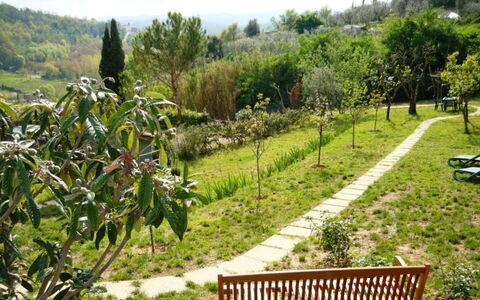 Podere Oliveta: Vegetationen, Have, Busk, Plantesamfund, Bunddække, Forår, Botanisk Have, Plantation, Landscaping, Walkway