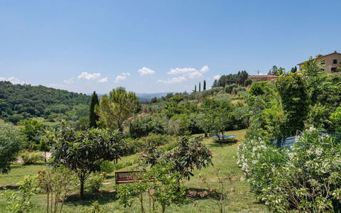 Podere Oliveta: Vegetationen, Busk, Plantesamfund, Landdistrikt, Hill Station, Plantation, Have, Shrubland, Botanisk Have, Chaparral