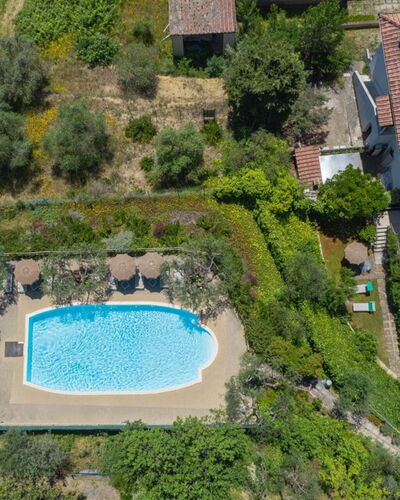 Podere Oliveta