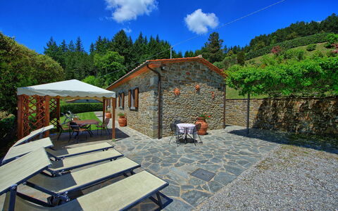 Villa Portole Due: Sommerhus, Eco Hotel, Have, Udvej, Estate, Flise, Landscaping, Stuehus, Gård, Backyard