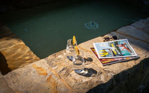 Town House Garden: Flise, Svømmepøl, Water Feature