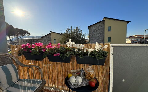 Sto Bene Qua: Blomsterkrukke, Altan, Stueplante, Blomsterhandlere, Floral Design, Gårdsplads