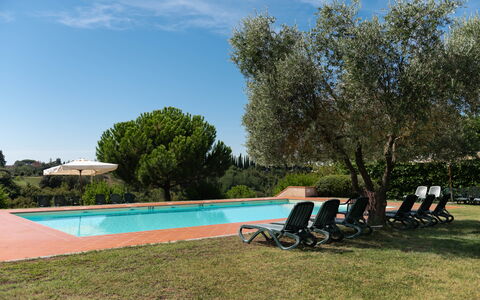 Country House In Tuscan Hills: Svømmepøl, Udvej, Hacienda, Have, Estate, Landscaping, Eco Hotel, Skygge, Udendørs Møbler, Villa