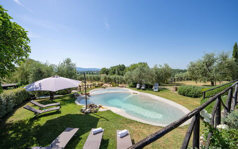 Villa Elsa di Bibbiano Pool, Sauna and View: Have, Lawn, Eng, Estate, Landscaping, Gård, Svømmepøl, Backyard, Hacienda, Parkere