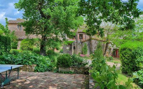 Podere Lorena, Charming Tuscan Farmhouse: Busk, Have, Backyard, Bunddække, Forår, Sommerhus, Landscaping, Mursten, Gård