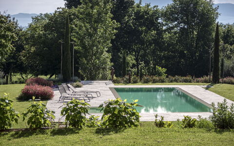 Villa Cortona: Eco-Sustainable Luxury Estate with: Busk, Have, Svømmepøl, Landscaping, Backyard, Skygge, Lawn, Flise, Gård, Udendørs Møbler