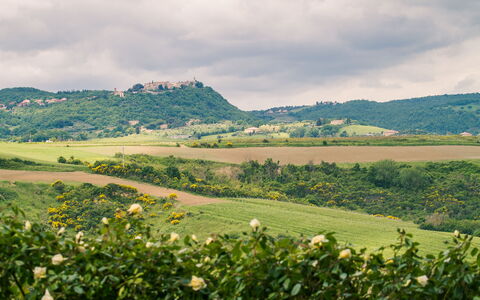 Villa Petrosa: Your Private Escape Overlooking the: Grøn, Vegetationen, Naturlige Landskab, Bakke, Græs-, Landskab, Landdistrikt, Plantation, Almindeligt, Mark