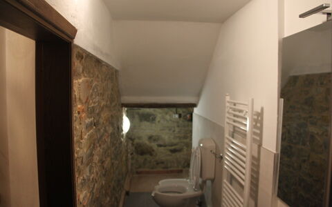 Agriturismo Casa Da Pietro: Væg, Gulvbelægning, Etage, Værelse, Loft, Sanitærarmatur, Stenmur, Flise, Bejdse, Vvs