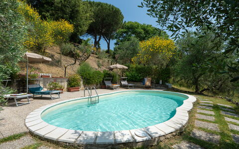 Casa Livia: Svømmepøl, Udendørs Møbler, Møbel, Udvej, Stol, Have, Backyard, Eco Hotel, Skygge, Hacienda