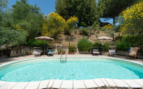 Casa Livia: Svømmepøl, Møbel, Udendørs Møbler, Stol, Udvej, Paraply, Skygge, Udendørs Bord, Have, Backyard