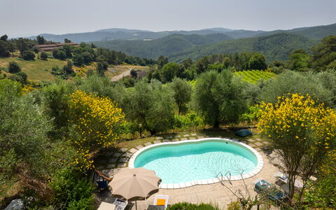 Casa Livia: Svømmepøl, Udendørs Møbler, Udvej, Have, Eco Hotel, Hacienda, Landscaping, Stol, Estate, Backyard