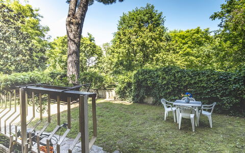 Suite Vogel: Blad, Busk, Have, Skygge, Forår, Sollys, Backyard, Lawn, Landscaping, Gård