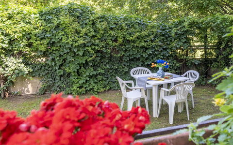 Suite Vogel: Blad, Grøn, Busk, Have, Bunddække, Forår, Skygge, Backyard, Gård, Landscaping