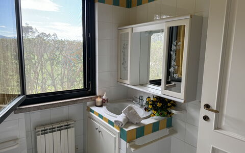 Green Hills 13: Sanitærarmatur, Håndvask, Badeværelsesvask, Indretning, Tap, Vvs, Badeværelse, Countertop, Værelse, Spejl