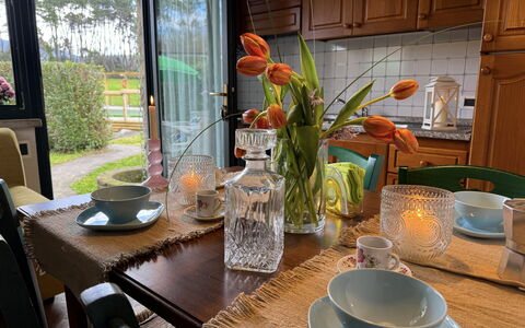 Green Hills 13: Bordservice, Møbel, Serveware, Bord, Drinkware, Tallerkner, Blomsterkrukke, Stol, Mad