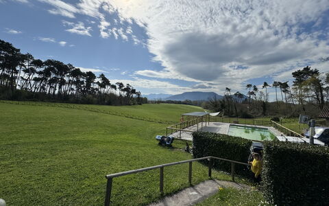 Green Hills 13: Græs, Landskab, Almindeligt, Land Lot, Mark, Lawn, Eng, Pasture, Hegn, Landscaping