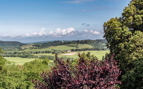 Tenuta i Mandorli, Pool, Wifi, Peccioli: Grøn, Træ, Blad, Natur, Naturligt Miljø, Bjergrige Landskabsformer, Naturlige Landskab, Vegetationen, Bakke, Græs-