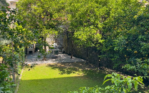 Corso Roma 15 Vacanze - Levanto: Grøn, Blad, Vegetationen, Busk, Have, Bunddække, Forår, Landscaping, Backyard, Gård