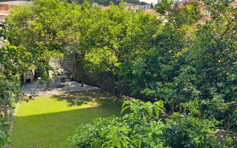 Corso Roma 15 Vacanze - Levanto: Blad, Vegetationen, Busk, Have, Forår, Vedplante, Skygge, Landscaping, Backyard, Walkway