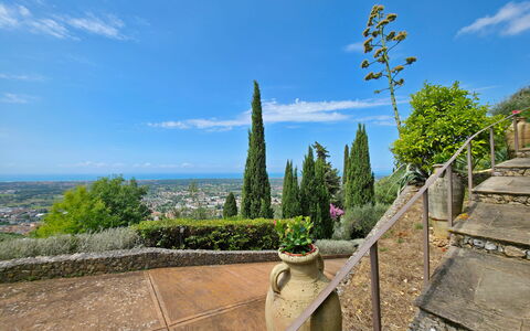 Uno Sguardo sul Mare: Landskab, Landscaping, Evergreen, Botanisk Have, Pine Family