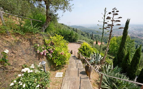 Uno Sguardo sul Mare: Vegetationen, Busk, Landskab, Plantesamfund, Have, Bunddække, Walkway, Sti, Botanisk Have