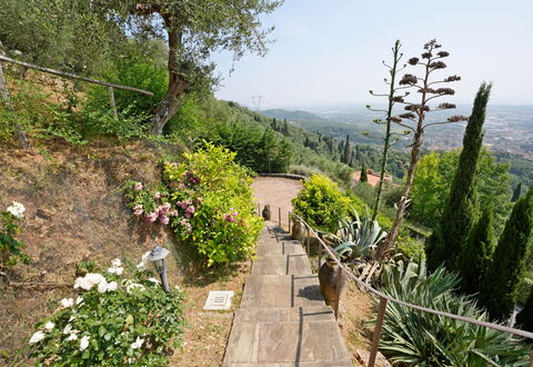 Uno Sguardo sul Mare: Vegetationen, Busk, Landskab, Plantesamfund, Have, Bunddække, Walkway, Sti, Botanisk Have