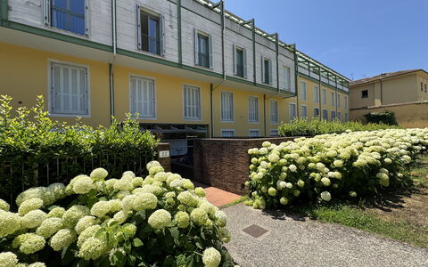 Ai Cantici: Busk, Have, Landscaping, Skygge, Hæk, Gård, Gårdsplads, Estate, Lawn, Backyard