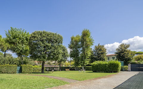 Attico Marino: Grøn, Græs, Busk, Offentlige Rum, Have, Bunddække, Lawn, Skygge, Hæk, Landscaping