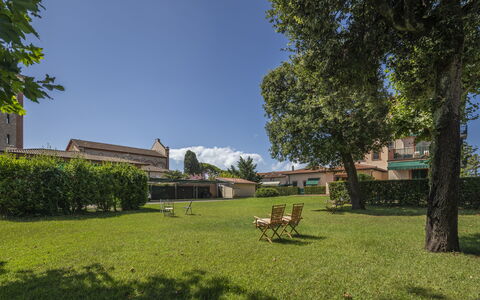 Attico Marino: Græs, Træ, Busk, Landskab, Land Lot, Have, Lawn, Bunddække, Skygge