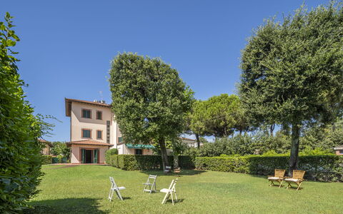 Attico Marino: Græs, Busk, Hjem, Land Lot, Lawn, Have, Estate, Gård, Landscaping, Hæk