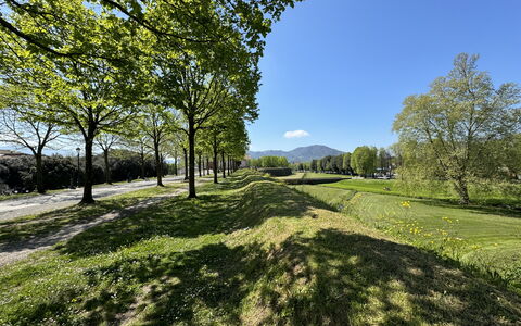 Il Cervo In Città: Grøn, Græs, Natur, Naturlige Landskab, Vegetationen, Græs-, Bakke, Almindeligt, Landskab, Land Lot