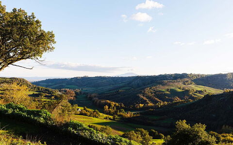 Villa Sassinoro: Bjergrige Landskabsformer, Grøn, Bakke, Natur, Naturlige Landskab, Vegetationen, Bjerg, Græs-, Highland, Landskab