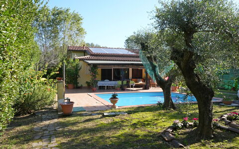 La Sevillana: Hjem, Have, Backyard, Hacienda, Skygge, Gård, Sommerhus, Estate, Landscaping, Stuehus