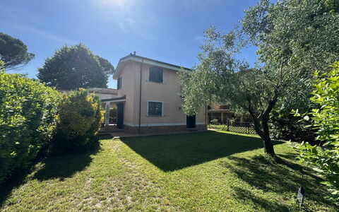 Dependance Egle: Busk, Hjem, Have, Lawn, Estate, Gård, Landscaping, Backyard, Indkørsel, Hacienda