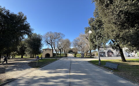 Casa Capolino: Træ, Græs, Afdeling, Vejbelægning, Offentlige Rum, Vedplante, Skygge, Parkere, Indkørsel, Fortov
