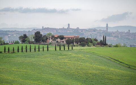 La Casina Honeymoon Cottage, Badia Agnano: Græs, Græs-, Horisont, Landskab, Almindeligt, Bakke, Land Lot, Eng, Mark, Landdistrikt