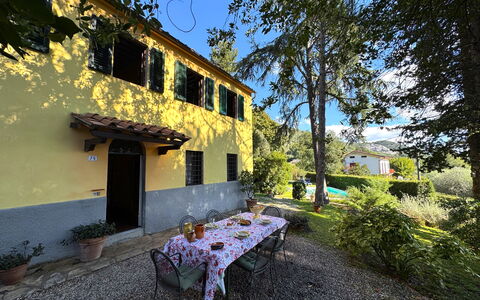 Allo Scoiattolo: Busk, Hjem, Sommerhus, Have, Estate, Skygge, Landscaping, Hacienda, Gård, Backyard