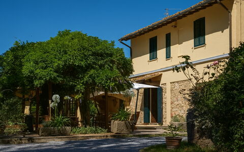 Podere la Botte, Pool, Lari: Busk, Hjem, Skygge, Sommerhus, Estate, Hacienda, Have, Gård, Landscaping, Villa