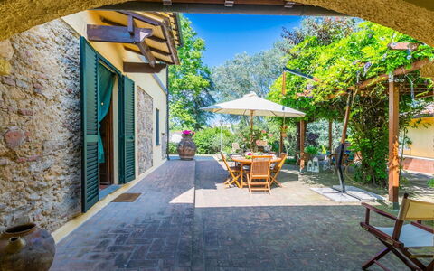 Podere la Botte, Pool, Lari: Dør, Blomsterkrukke, Flise, Have, Skygge, Stueplante, Landscaping, Hacienda, Cobblestone, Gård