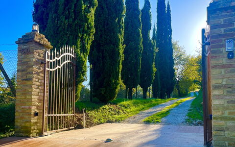 Villa Vindelbono: Have, Landscaping, Walkway, Skygge, Evergreen