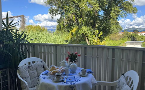 Liz: Møbel, Stol, Udendørs Bord, Udendørs Møbler, Altan, Skygge, Serveware, Dug, Køkken & Spisebord, Gård