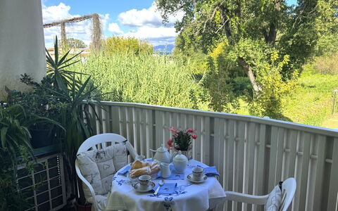 Liz: Møbel, Stol, Udendørs Møbler, Bord, Udendørs Bord, Altan, Veranda, Skygge, Backyard, Køkken & Spisebord