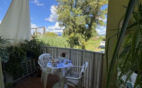 Liz: Møbel, Stol, Bord, Udendørs Bord, Udendørs Møbler, Køkken & Spisebord, Skygge, Altan, Stueplante, Backyard