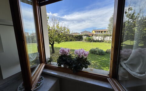 Villa Lory: Have, Blomsterkrukke, Stueplante, Landscaping, Gård, Dagslys, Altan, Backyard, Blomsterhandlere