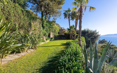 La Terrazza sul Mare: Blå, Grøn, Vegetationen, Hav, Busk, Ocean, Kyst, Coastal Og Oceaniske Landskabsformer, Plantesamfund, Have