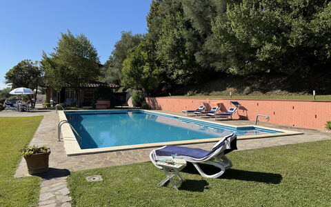 Casa Mia: Svømmepøl, Udvej, Udendørs Møbler, Have, Eco Hotel, Hacienda, Estate, Fritid, Backyard, Landscaping