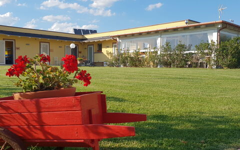 Appartamento Ibisco Seaside and Pool: Lawn, Have, Skygge, Gård, Stol, Landscaping, Udendørs Møbler, Backyard, Blomsterkrukke, Stueplante