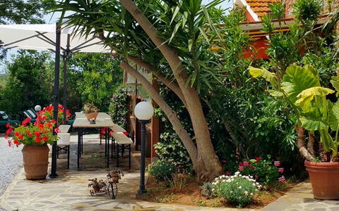 Appartamento Ibisco Seaside and Pool: Grøn, Blomsterkrukke, Have, Møbel, Skygge, Udendørs Møbler, Backyard, Stueplante, Stol